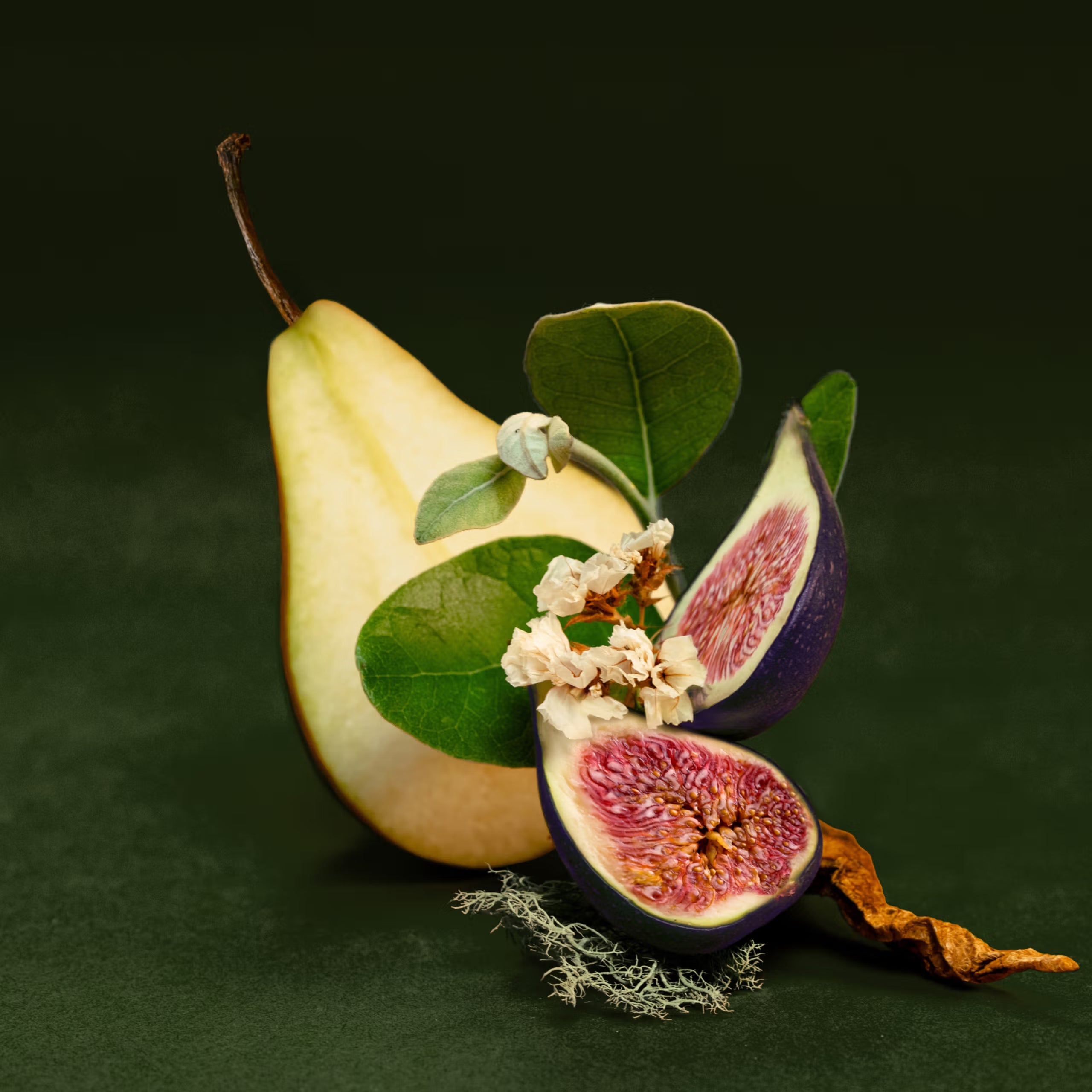 Fig+Feijoa Repair & Nourish Shampoo