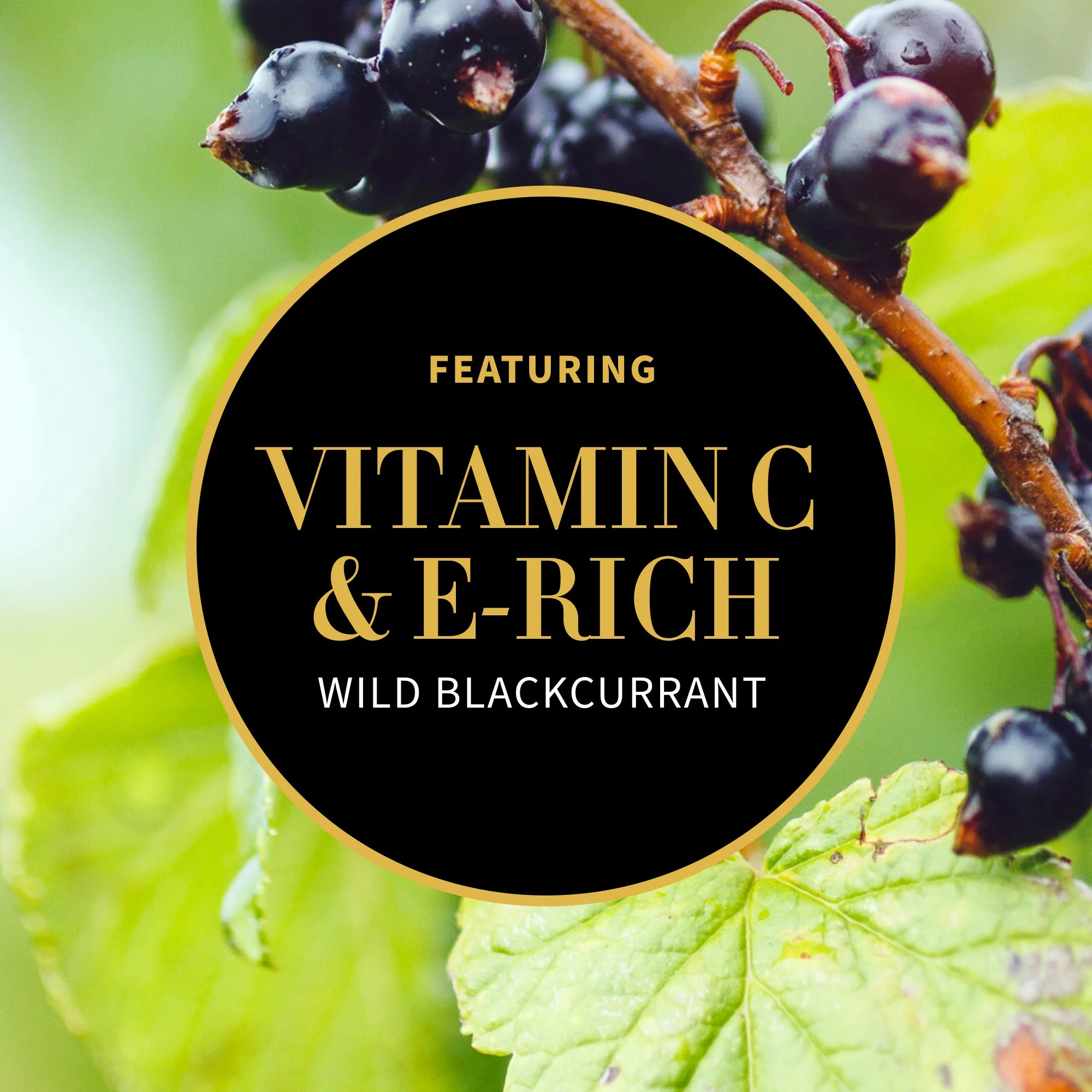 Nirvana - Gel de duș pentru mâini și corp