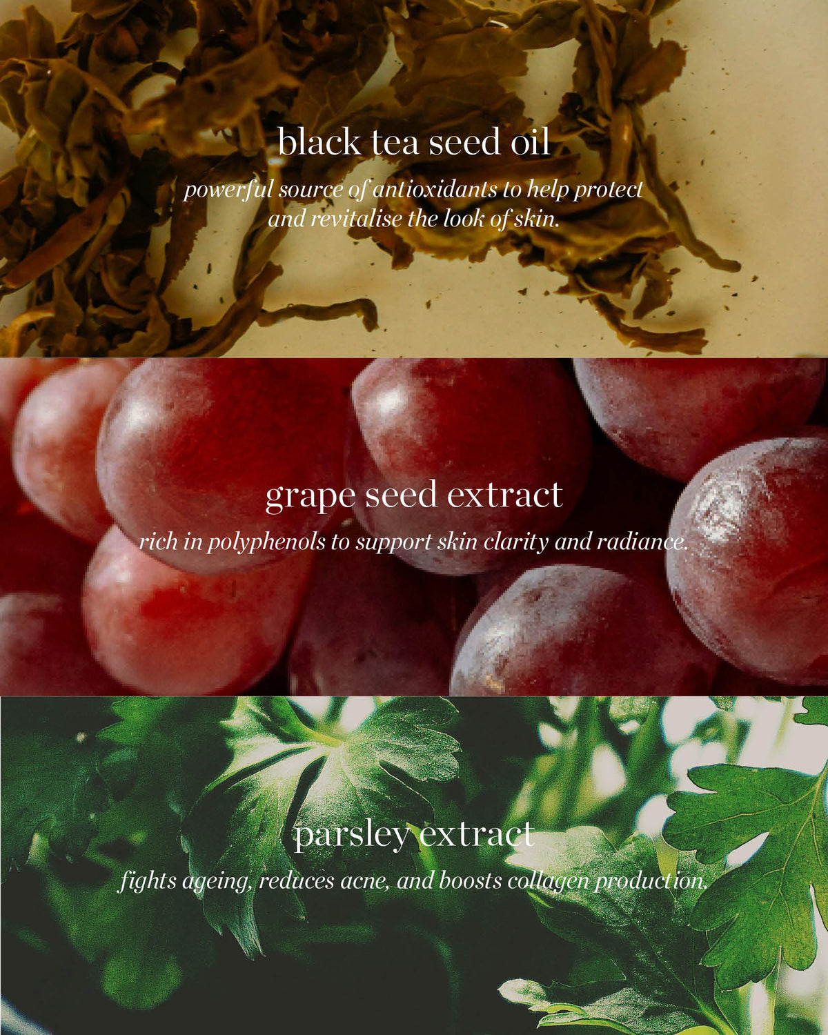 Black Tea Face Toner