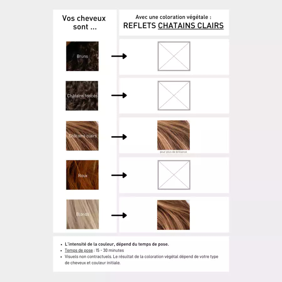 Plant-Based Coloring - Light Brown Highlights