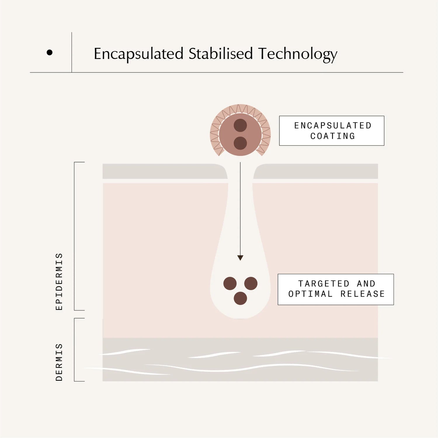 Ursolic Acid & Retinal Overnight Reform