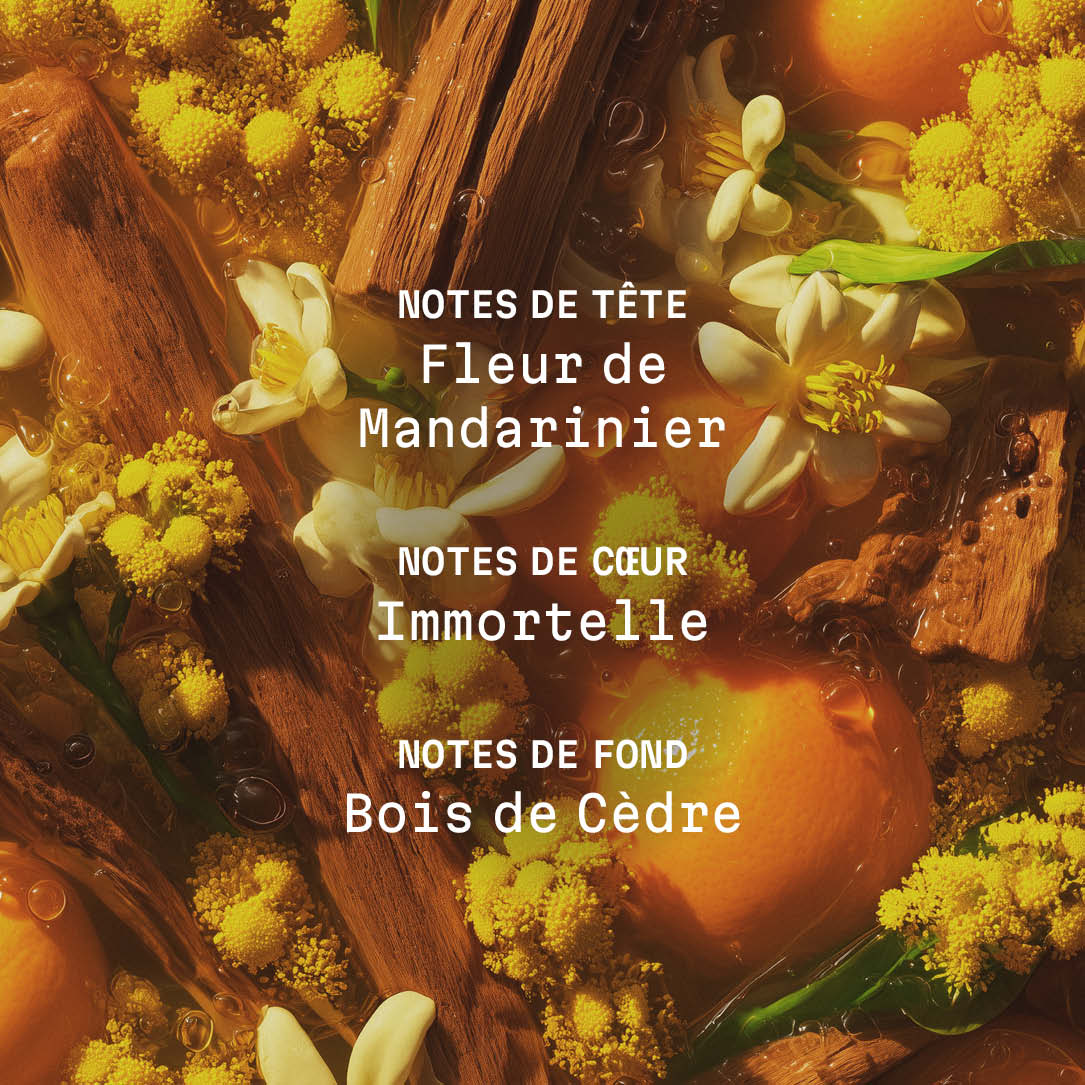 Bois de la Sierra - Cremă de corp parfumată