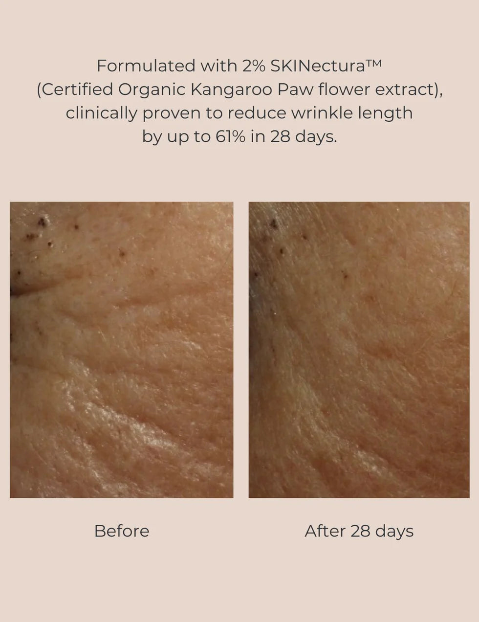 Pure Perfection Primer