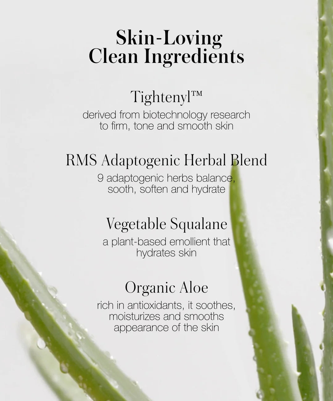 Fond de Ten ReEvolve Natural Finish Foundation