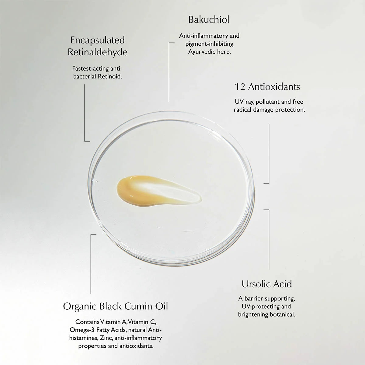 Ursolic Acid & Retinal Overnight Reform
